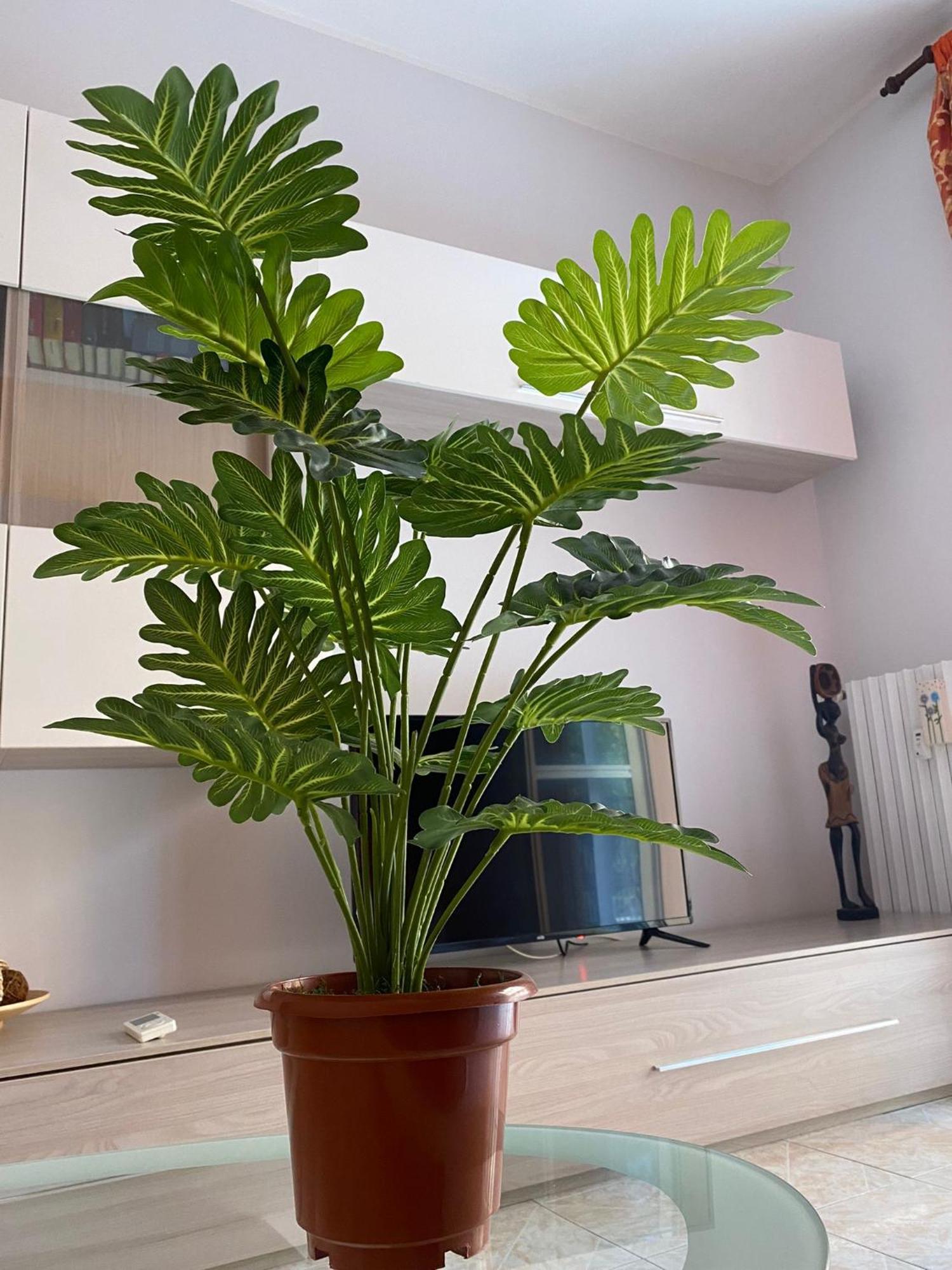 شقة Betulle'S House روما الغرفة الصورة